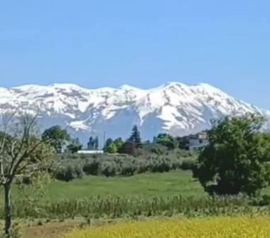 Terreno Agricolo/Coltura in vendita a Civitaquana (Pescara)