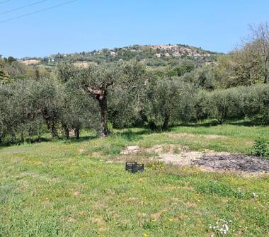Rustico/Casale in vendita a Fano, Frazione Roncosambaccio