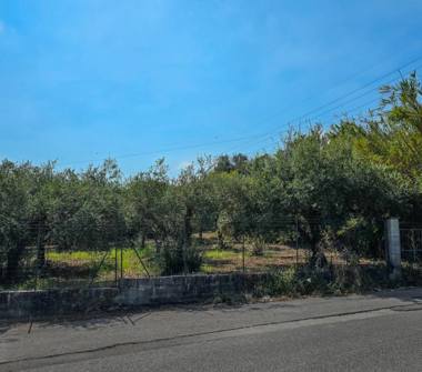 Terreno Agricolo/Coltura in vendita a San Filippo del Mela (Messina)