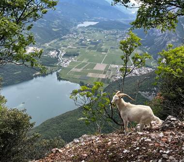 Altro in vendita a Vallelaghi, Frazione Margone, Via di Sant' Antonio 10