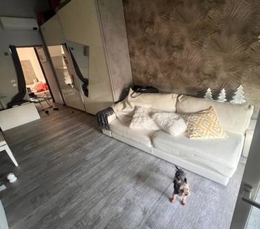 Bilocale in affitto a Correzzana (Monza e Brianza), SP154 94