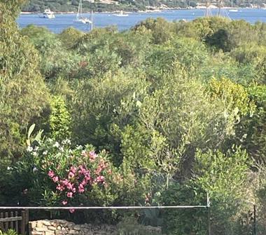 Affitto Appartamento Vacanze a Palau (Sassari)