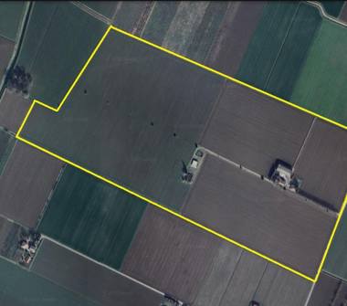 Terreno Agricolo/Coltura in vendita a San Giorgio di Piano (Bologna)