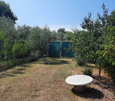 Terreno Agricolo/Coltura in vendita a Fano, Frazione Fenile