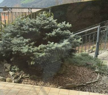 Affitto Casa Vacanze a Gazzaniga, Frazione Masserini