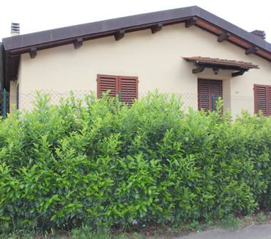Quadrilocale in affitto a Dicomano (Firenze)