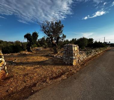 Terreno Agricolo/Coltura in vendita a Morciano di Leuca, Frazione Torre Vado, SP190 16