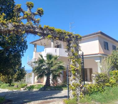 Affitto Appartamento Vacanze a Ricadi, Frazione Capo Vaticano, Contrada Torre Ruffa 2