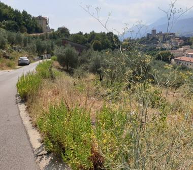 Rustico/Casale in vendita a Ausonia (Frosinone)