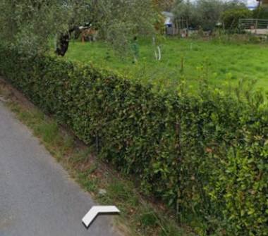 Terreno Agricolo/Coltura in vendita a Massa, Frazione Marina Di Massa