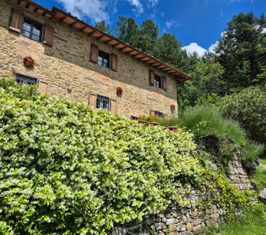 Affitto Appartamento Vacanze a Borgo San Lorenzo, Frazione Grezzano
