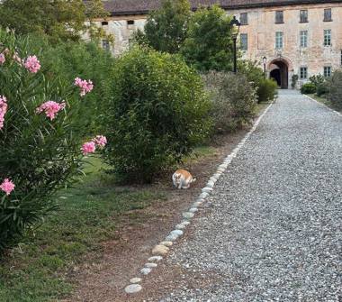 Casa indipendente in vendita a Castellazzo Novarese (Novara), Via Novara 1