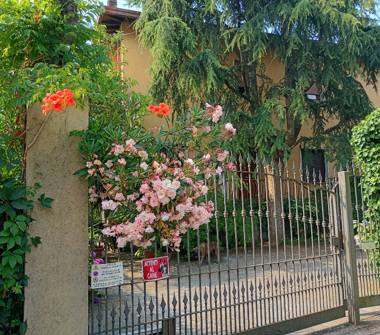 Quadrilocale in affitto a Gorla Maggiore (Varese)