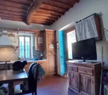 Altro in vendita a Massarosa (Lucca)