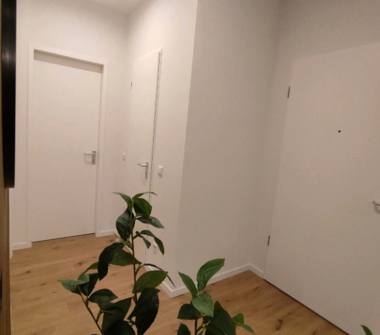 Bilocale in affitto a Livorno, Zona Fabbricotti, Viale Goffredo Mameli 151