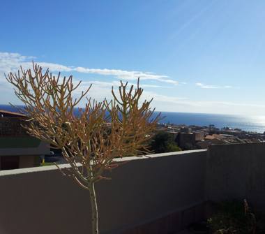 Trilocale in affitto a Catania, Zona Circonvallazione, Viale Ruggero Albanese 22