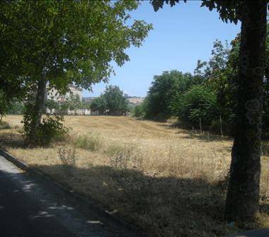 Altro in vendita a Colli al Metauro (Pesaro e Urbino), via belvedere 14