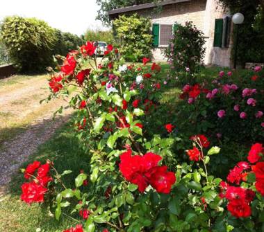 Rustico/Casale in vendita a Soliera, Frazione Sozzigalli