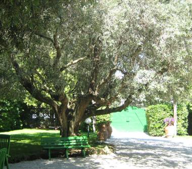 Casa indipendente in vendita a San Vincenzo (Livorno)