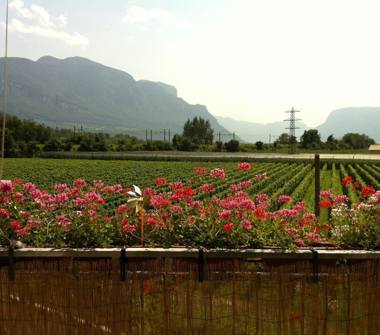 Trilocale in vendita a Ora (Bolzano/Bozen)