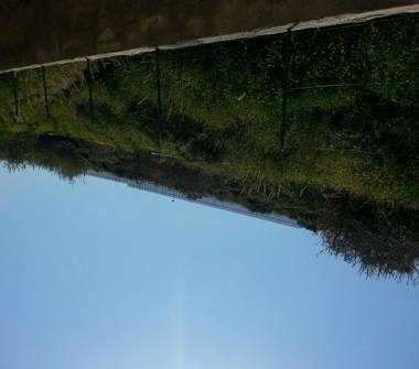 Terreno Agricolo/Coltura in vendita a Villafranca Tirrena (Messina)