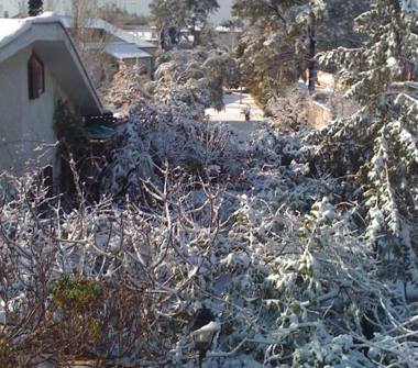 Affitto Stanza Singola a Roma, Zona Infernetto