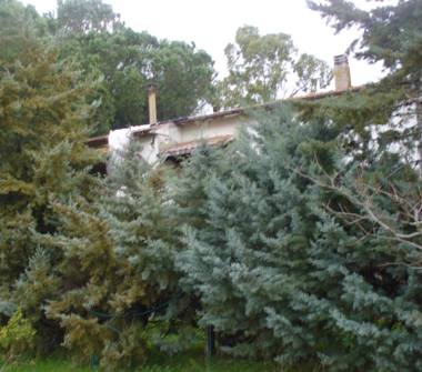 Villa in vendita a Grosseto (Grosseto)