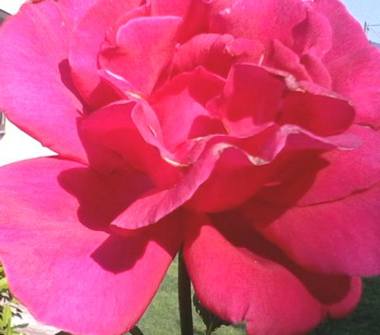 Villetta a schiera in vendita a Narni, Frazione Santa Lucia