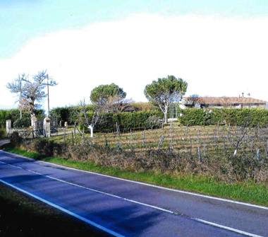 Terreno Agricolo/Coltura in vendita a Cinigiano (Grosseto)