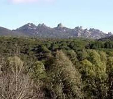 Azienda Agricola in vendita a Sinnai (Cagliari)