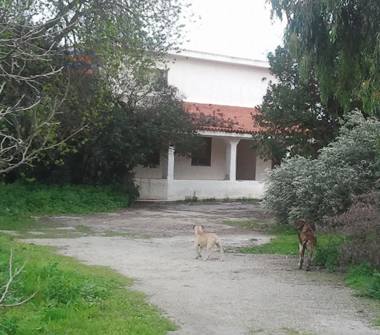 Altro in vendita a Siracusa (Siracusa)