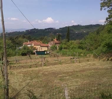 Azienda Agricola in vendita a Fosdinovo, Frazione Caprognano