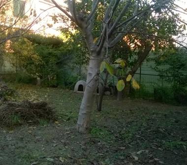 Villetta a schiera in vendita a Cagliari, Frazione Centro città