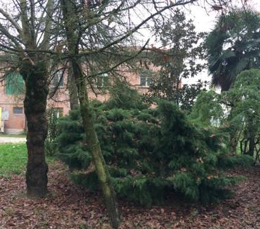 Rustico/Casale in vendita a Argenta, Frazione San Biagio