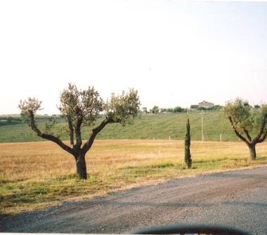 Rustico/Casale in vendita a Aprilia, Frazione Casalazara