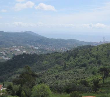 Terreno Agricolo/Coltura in vendita a Imperia (Imperia)