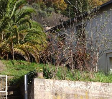 Casa indipendente in vendita a Tortorici, Frazione Moira