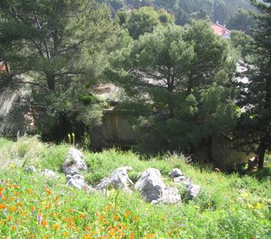 Villa in vendita a Palermo, Zona Borgo Nuovo