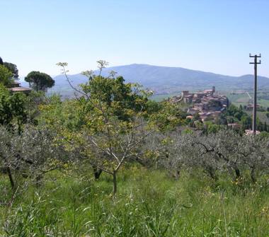 Terreno Edificabile Residenziale in vendita a Gualdo Cattaneo (Perugia)
