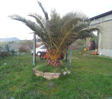 Rustico/Casale in vendita a Vicari (Palermo)