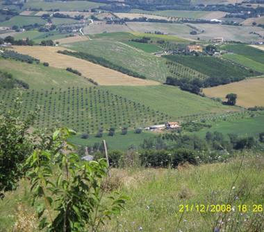 Rustico/Casale in vendita a Fermo (Fermo)