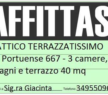 Affitto Stanza Posto letto a Roma, Zona Portuense
