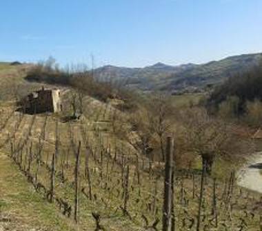 Casa indipendente in vendita a Monastero Bormida (Asti)