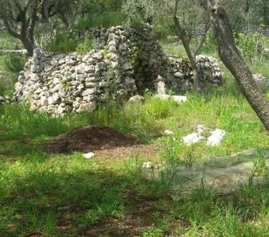 Terreno Edificabile Residenziale in vendita a Andrano (Lecce)