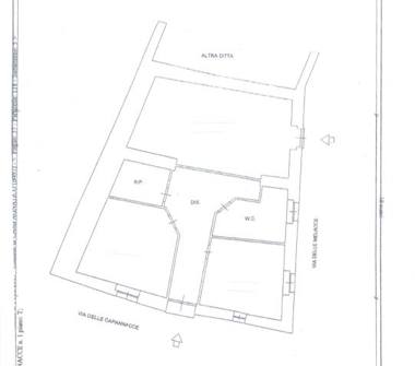 Appartamento in vendita a Campagnatico (Grosseto)