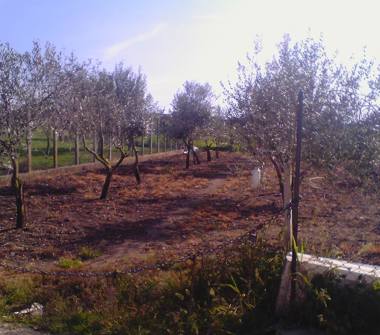 Altro in vendita a Sperlonga, Frazione Lago Lungo