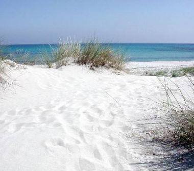 Altro in vendita a Siniscola, Frazione S'ena 'e Sa Chitta