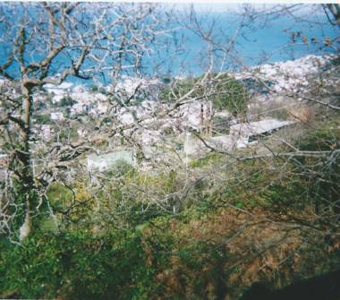 Rustico/Casale in vendita a Casamicciola Terme (Napoli)