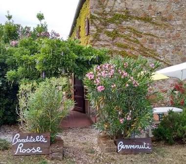 Affitto Appartamento Vacanze a Castellina Marittima (Pisa)