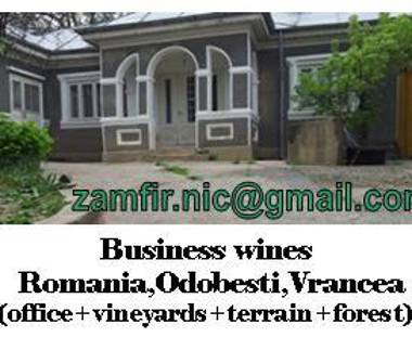  Attività commerciale in vendita a Ofena (L'Aquila)